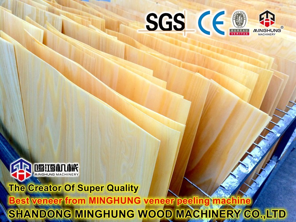 Шаньдун-Minghung-Wood-Machinery-Co-Ltd- (2)
