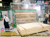 Целые наборы фанерной машины из Китая Professional Factory