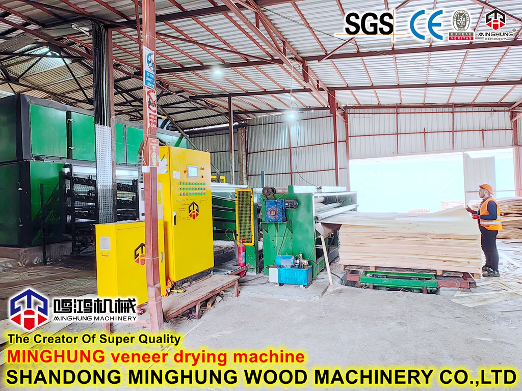 Машина секадора де чапа (5)