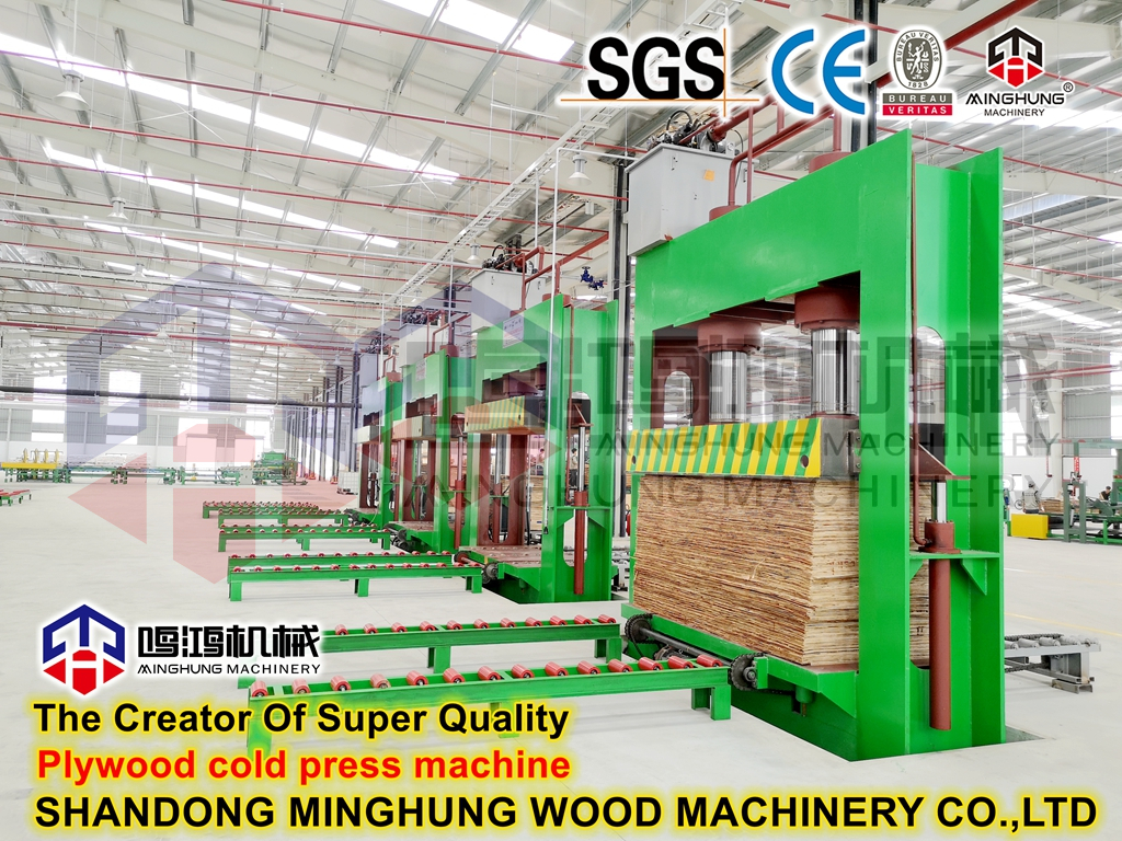 MINGHUNG Cold Press Machine_ 副本