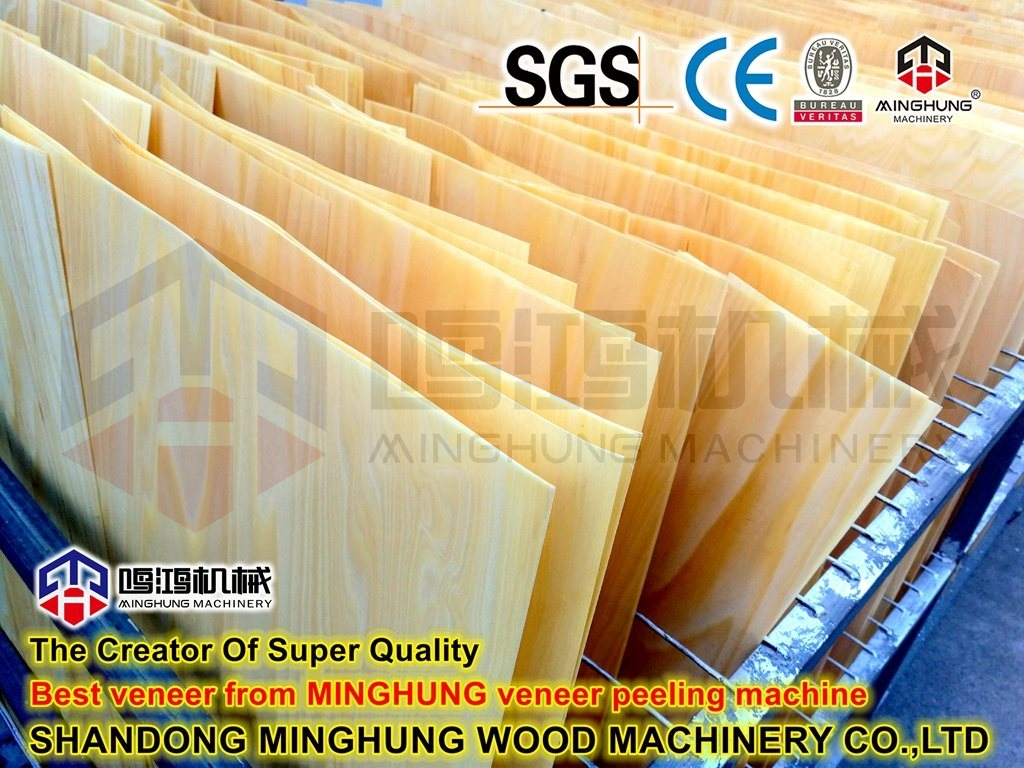 Шаньдун-Minghung-Wood-Machinery-Co-Ltd- (2)