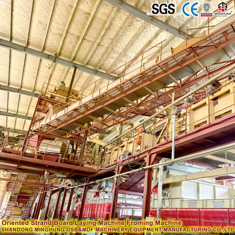 MINGHUNG Ориентированная на прядь