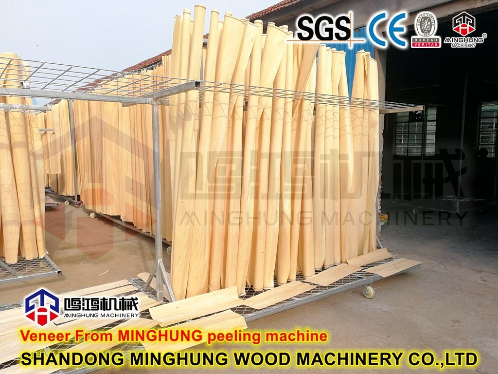 Шаньдун-Minghung-Wood-Machinery-Co-Ltd- (3)