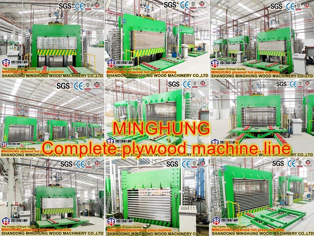 Шаньдун-Minghung-Wood-Machinery-Co-Ltd- (5)