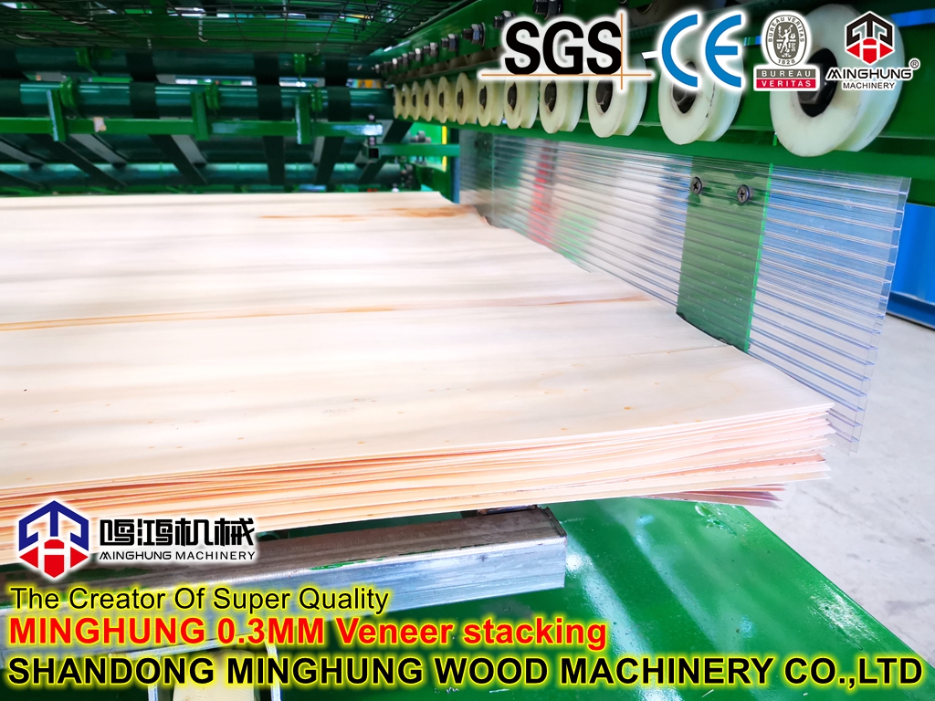 IMG_20230420_151304_副本 - 副本