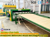 Автоматическая фанерная производственная линия с высокой пропускной способностью