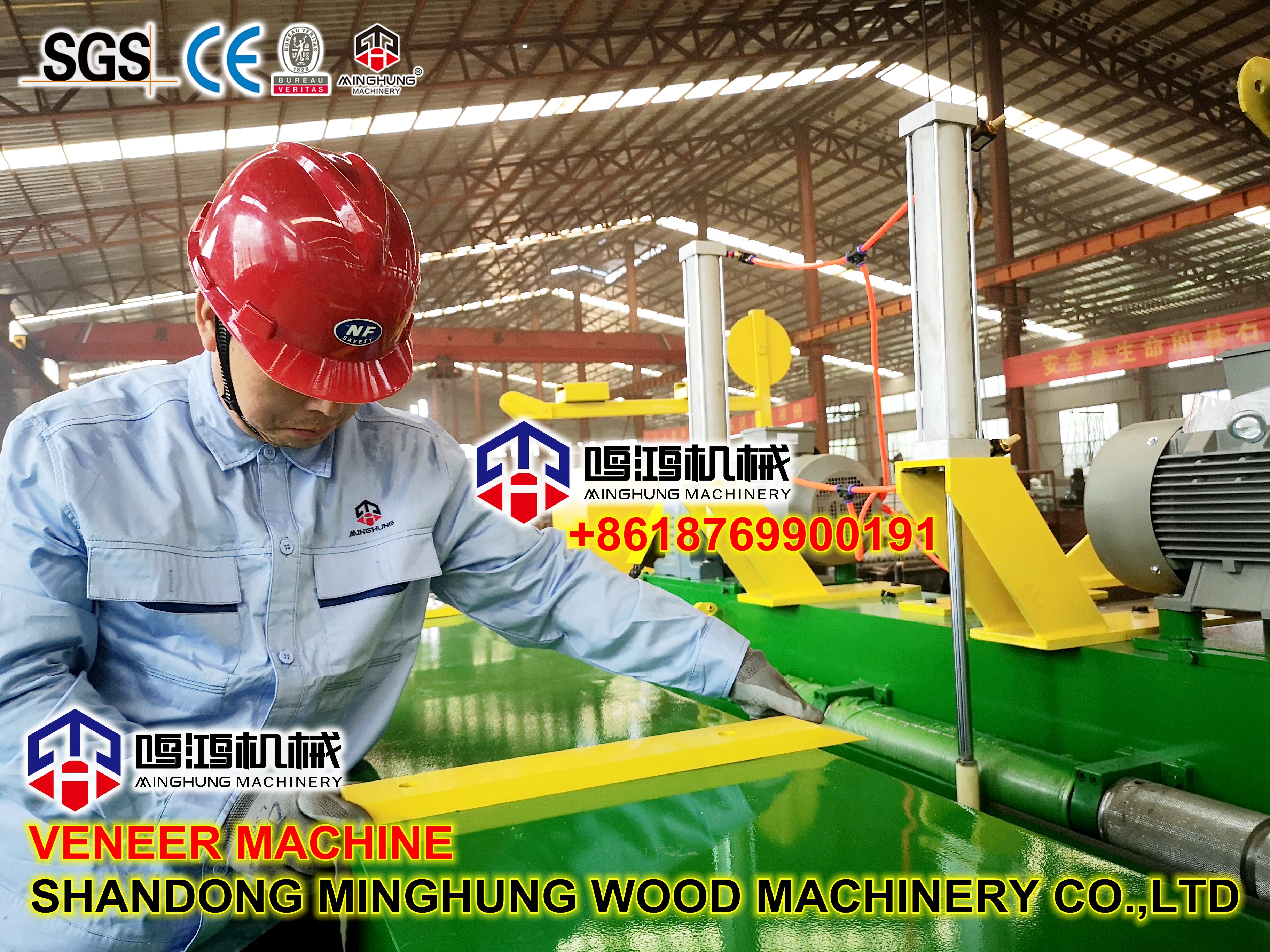 завод по производству шпона