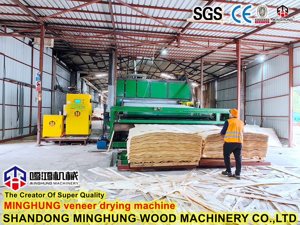 Машина секадора де чапа (3)