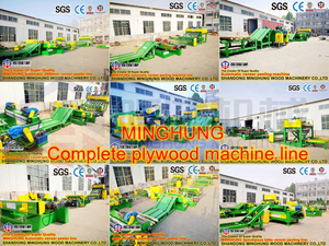 MINGHUNG veneer prodution line_副本.jpg