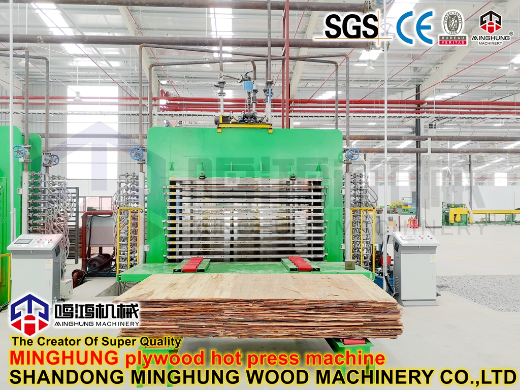 auto infeeding plywood machine (4) фанерная машина с автоматической подачей (4)