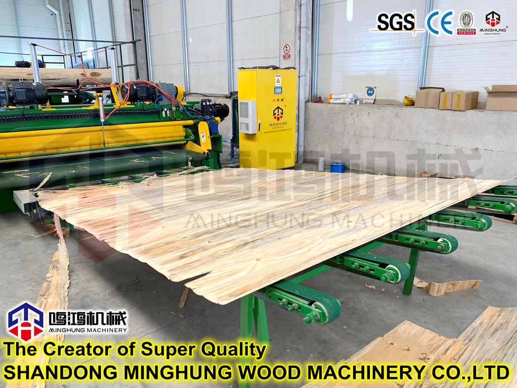 машина для снятия шпона в Мексике