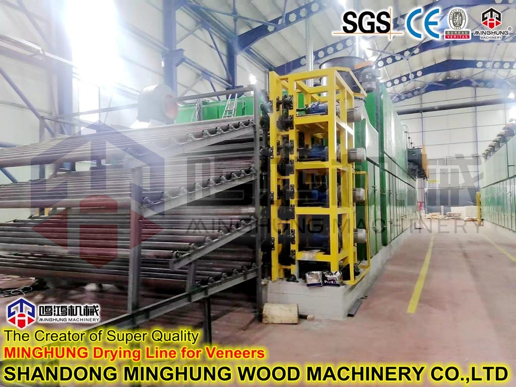 veneer drying (2) сушка шпона (2)